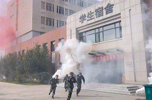 88直播篮球