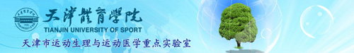 88直播篮球