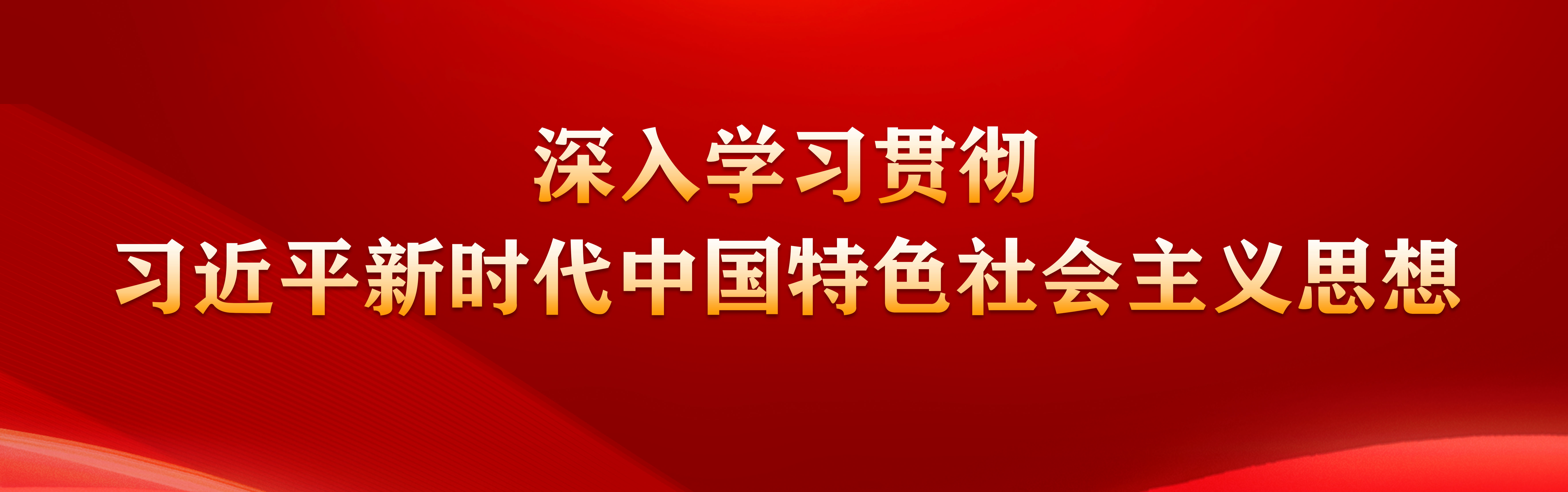 88直播篮球